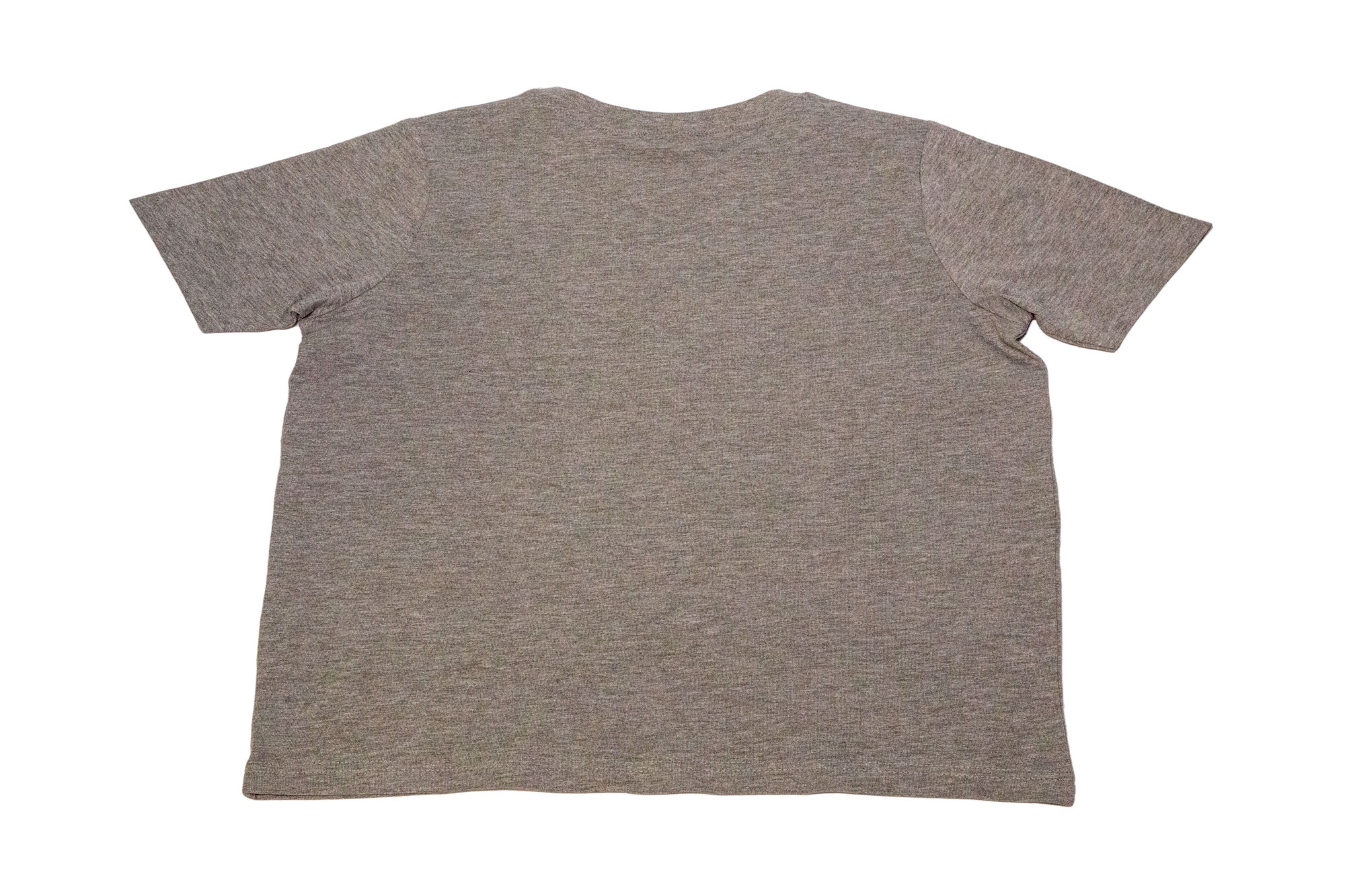 Kids T-Shirt MAN TGX Individual Lion S