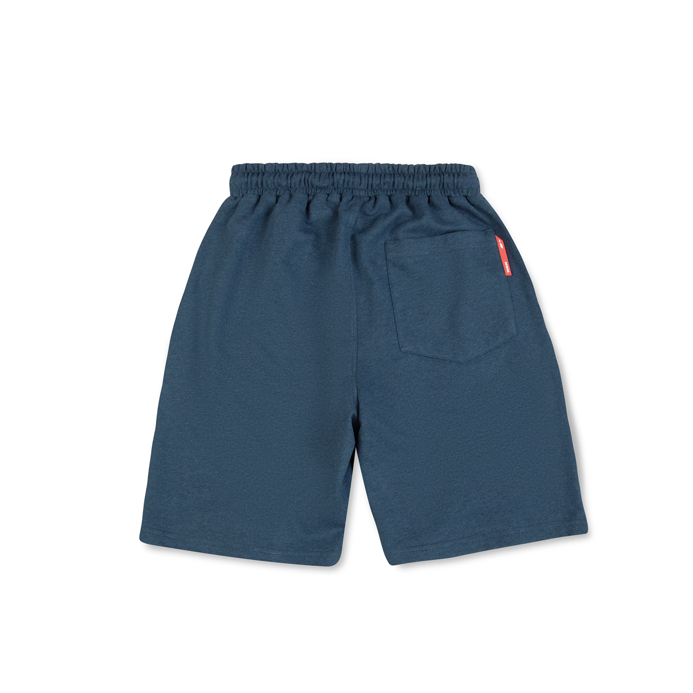 Kids Sweat Shorts Lion