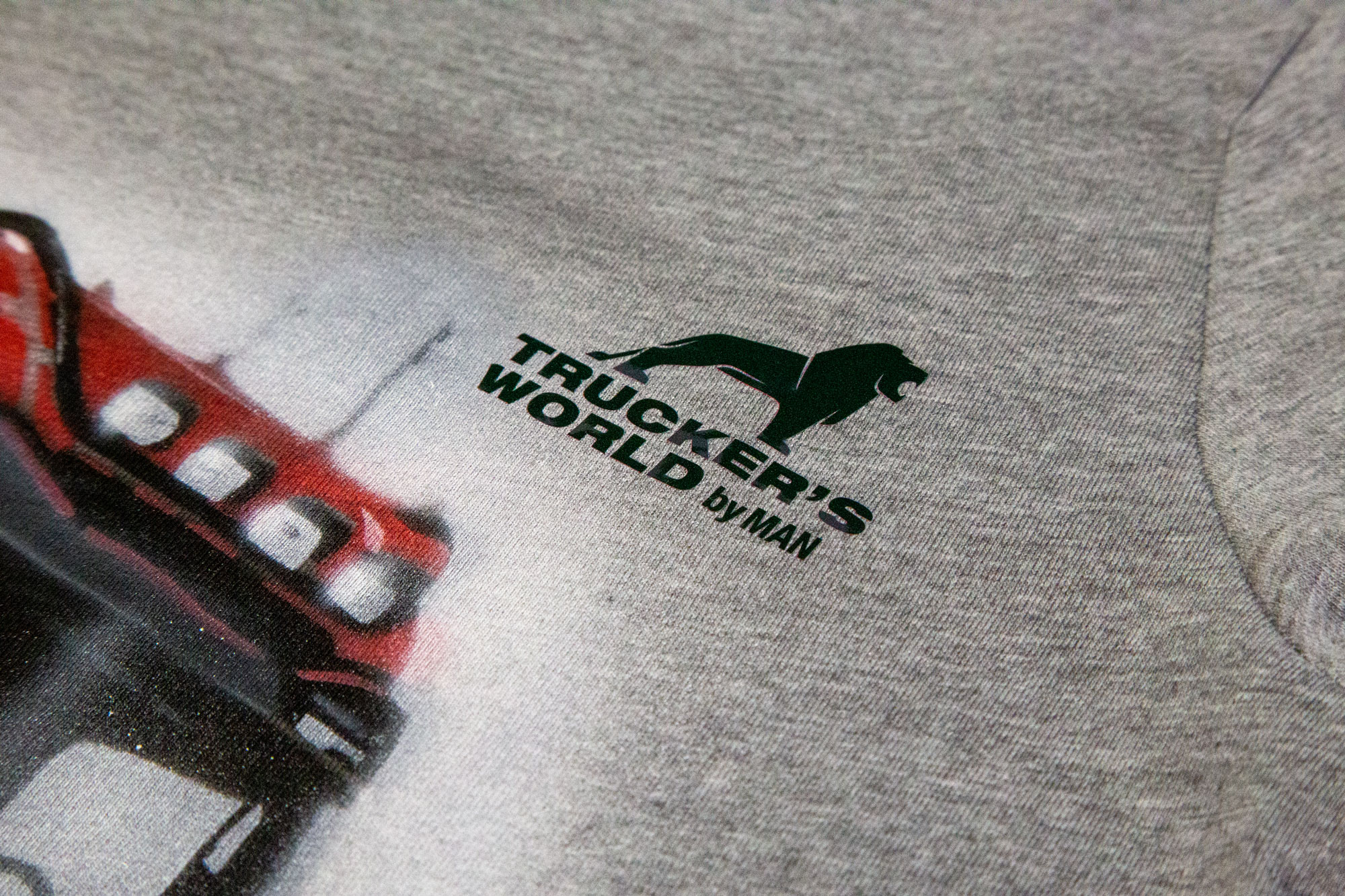 Kids T-Shirt MAN TGX Individual Lion S